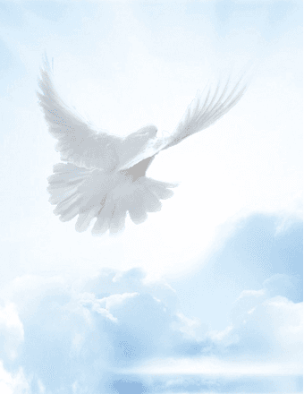 Pamela Yorks Obituary